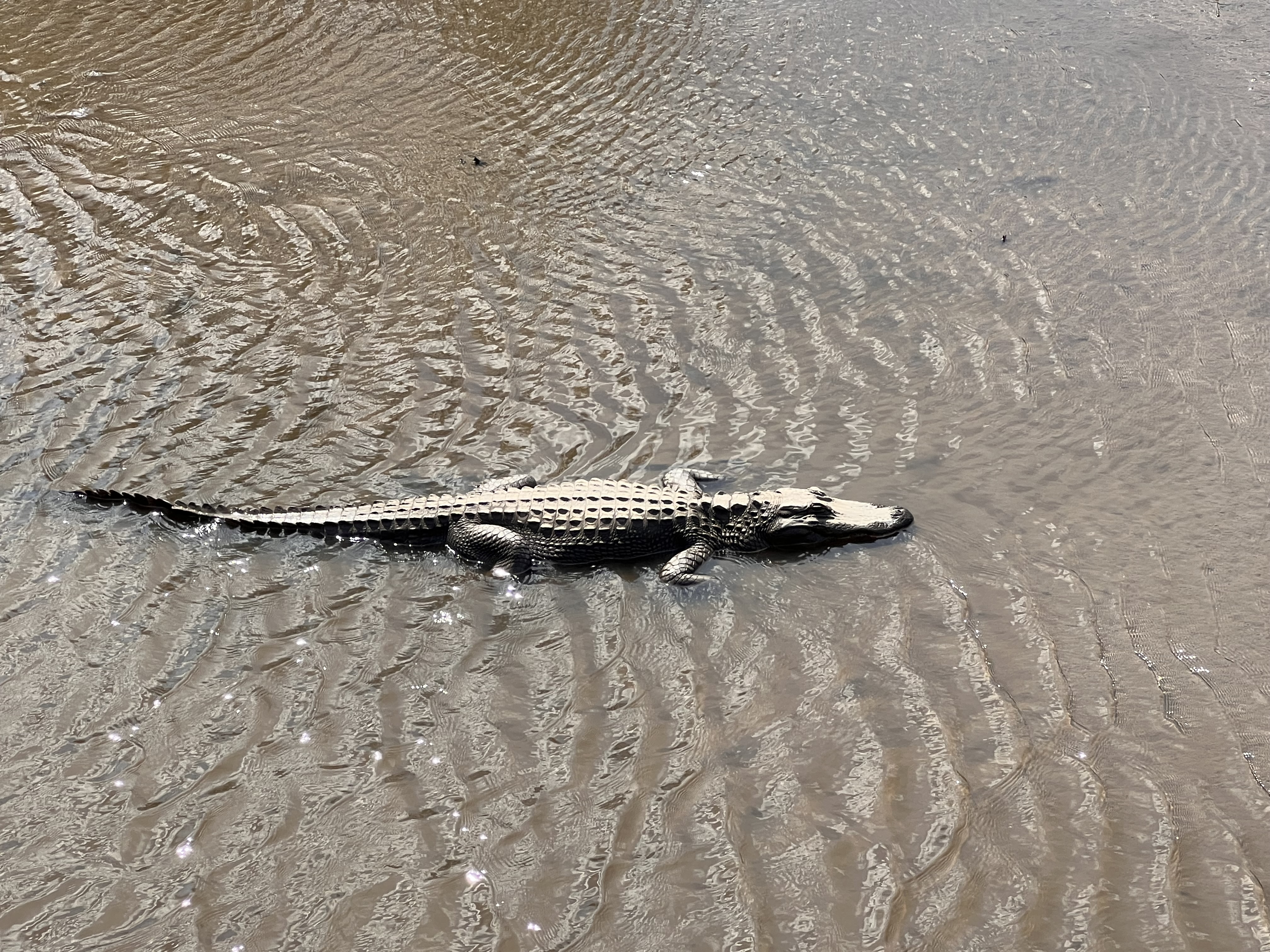 ./2023/05 - Toni Adventures/IMG_2796.JPG